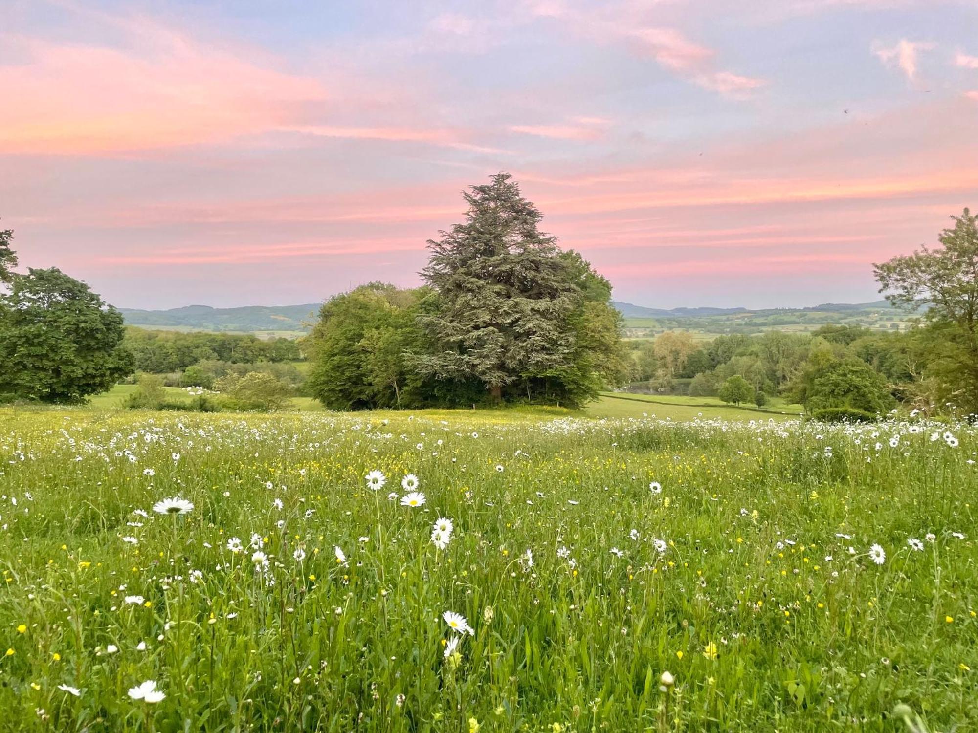 Chateau De Vaux Morvan Etang-sur-Arroux エクステリア 写真