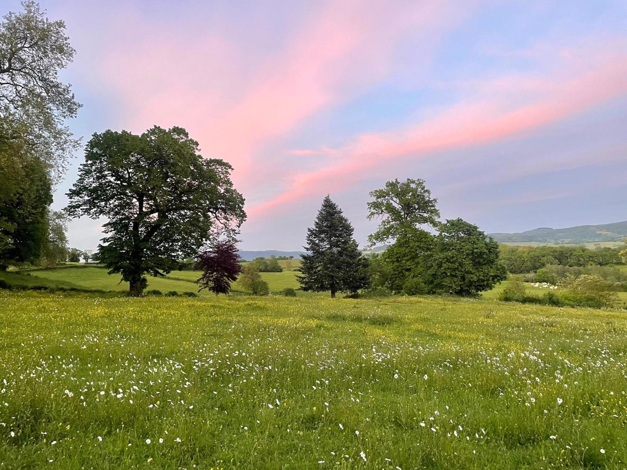 Chateau De Vaux Morvan Etang-sur-Arroux エクステリア 写真