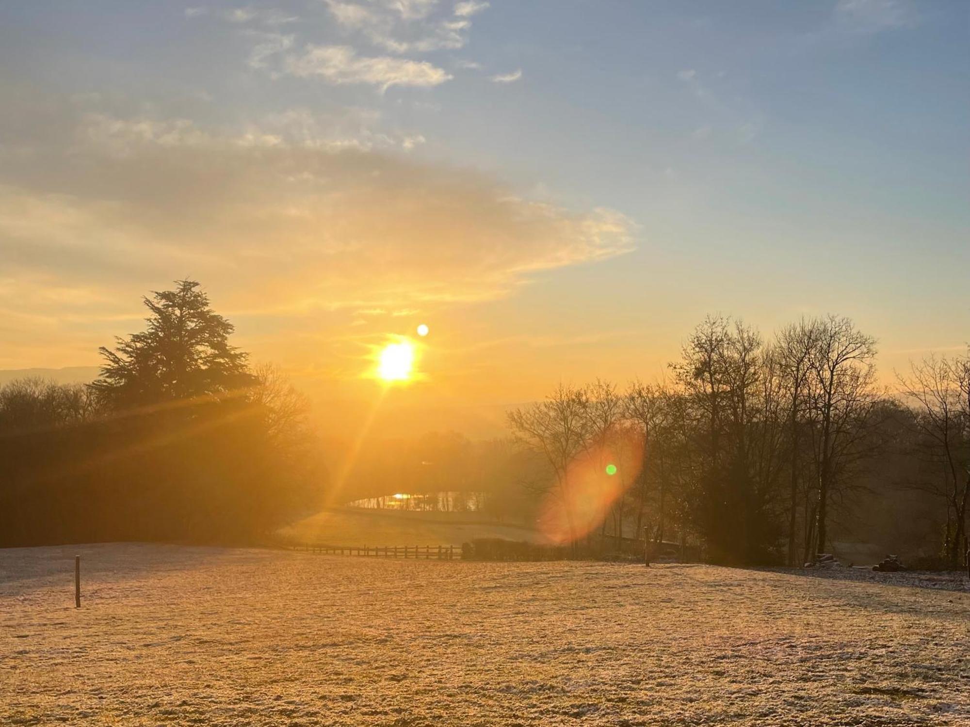 Chateau De Vaux Morvan Etang-sur-Arroux エクステリア 写真