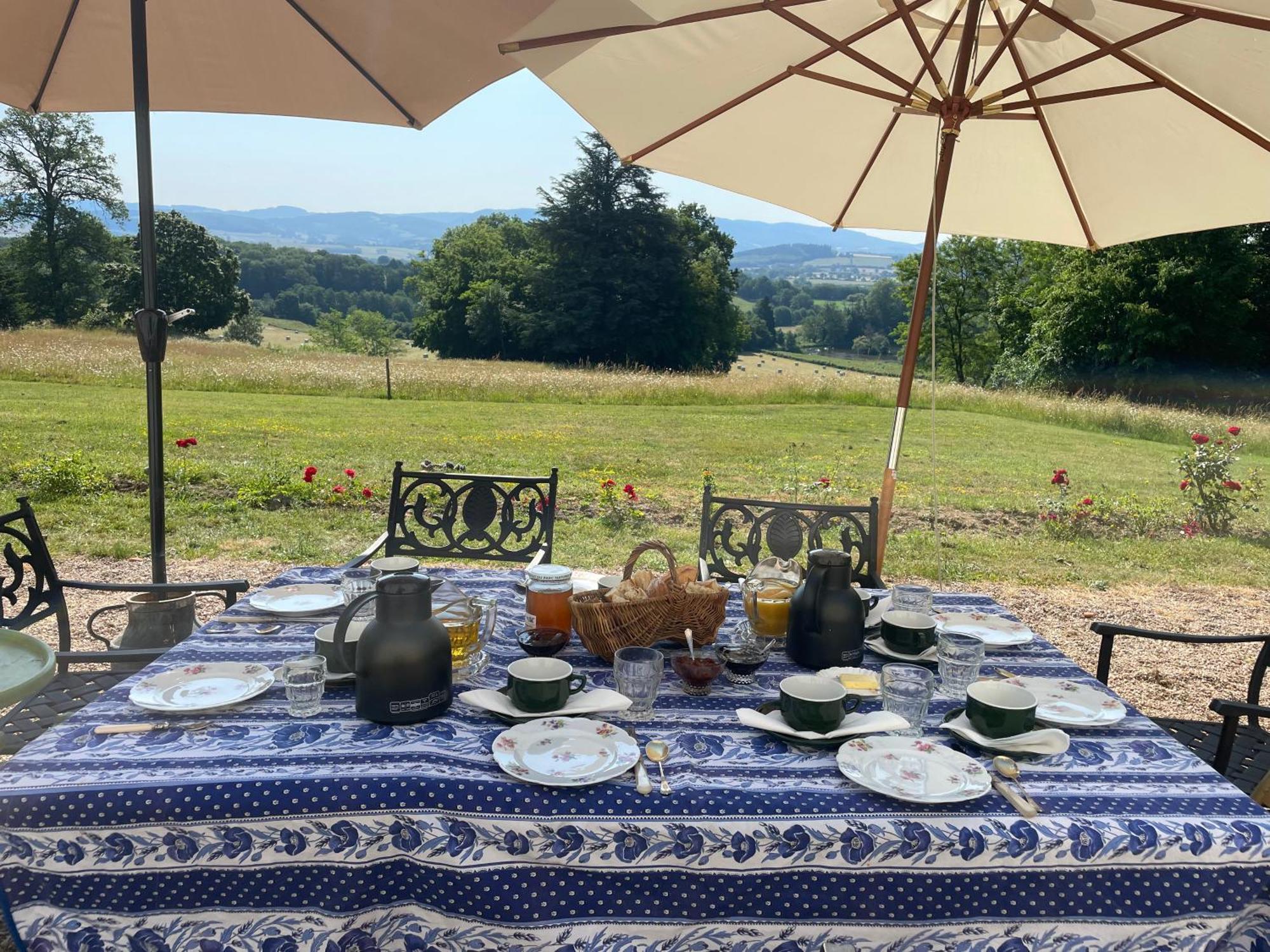 Chateau De Vaux Morvan Etang-sur-Arroux エクステリア 写真