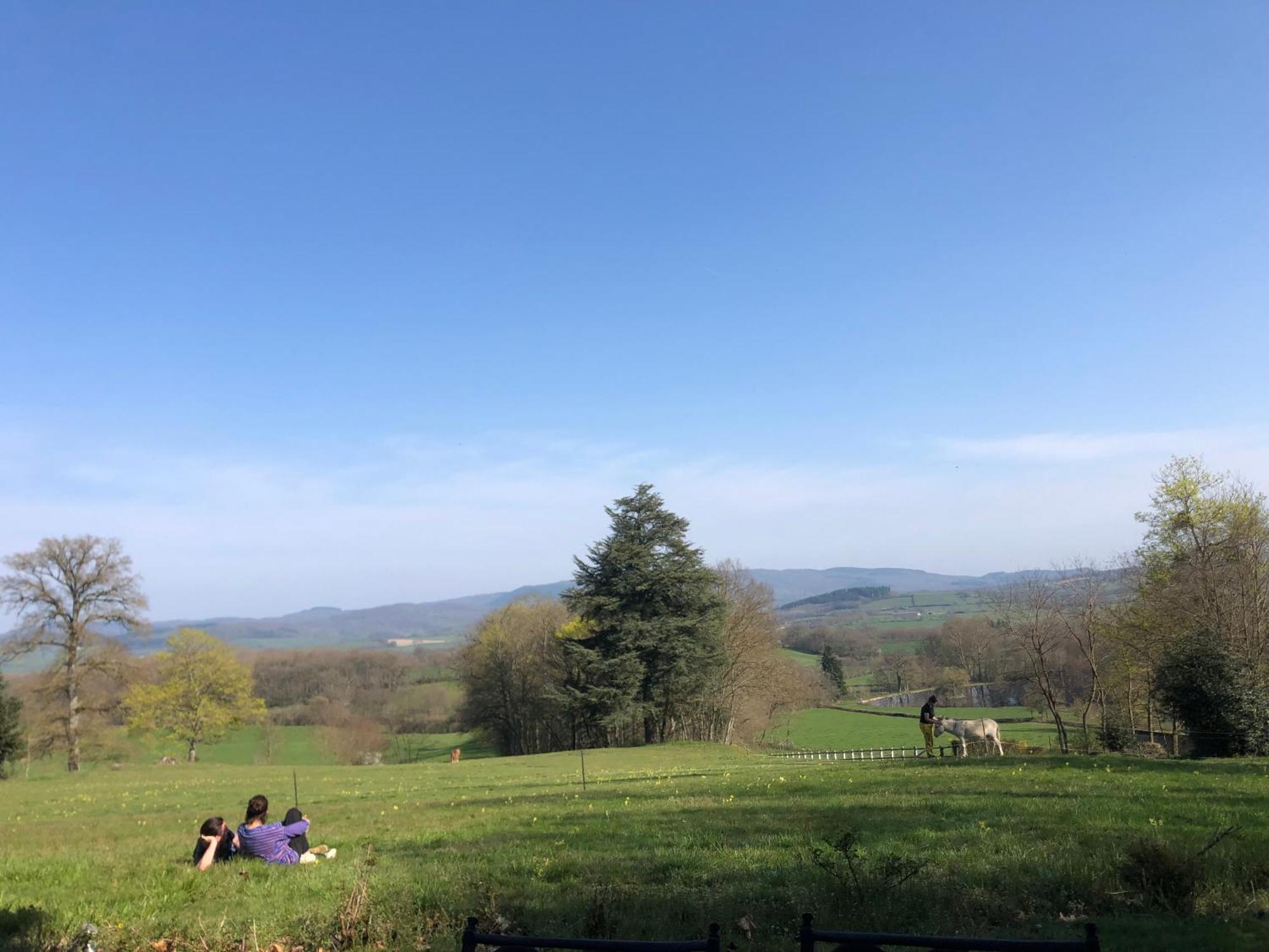 Chateau De Vaux Morvan Etang-sur-Arroux エクステリア 写真