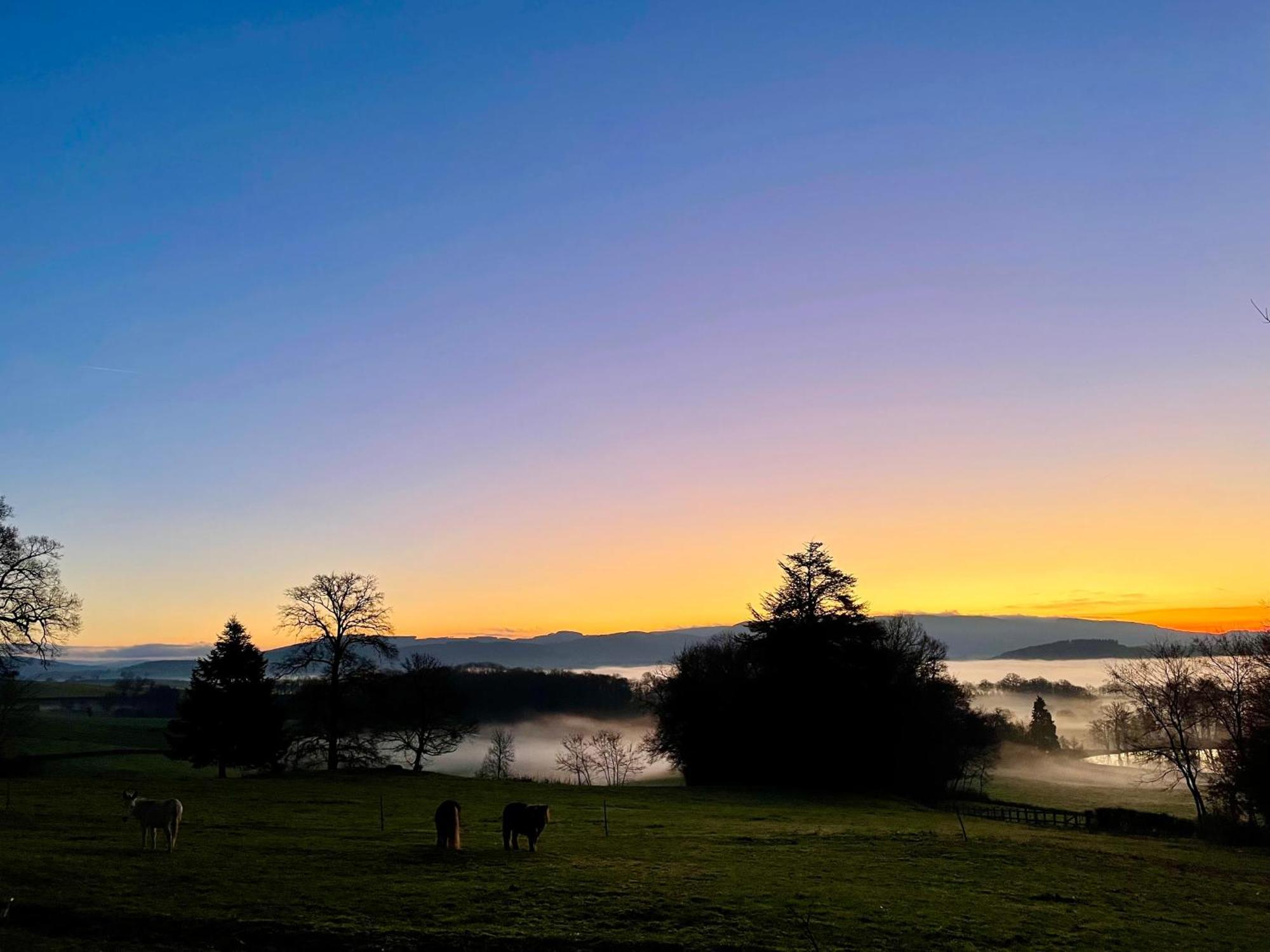 Chateau De Vaux Morvan Etang-sur-Arroux エクステリア 写真
