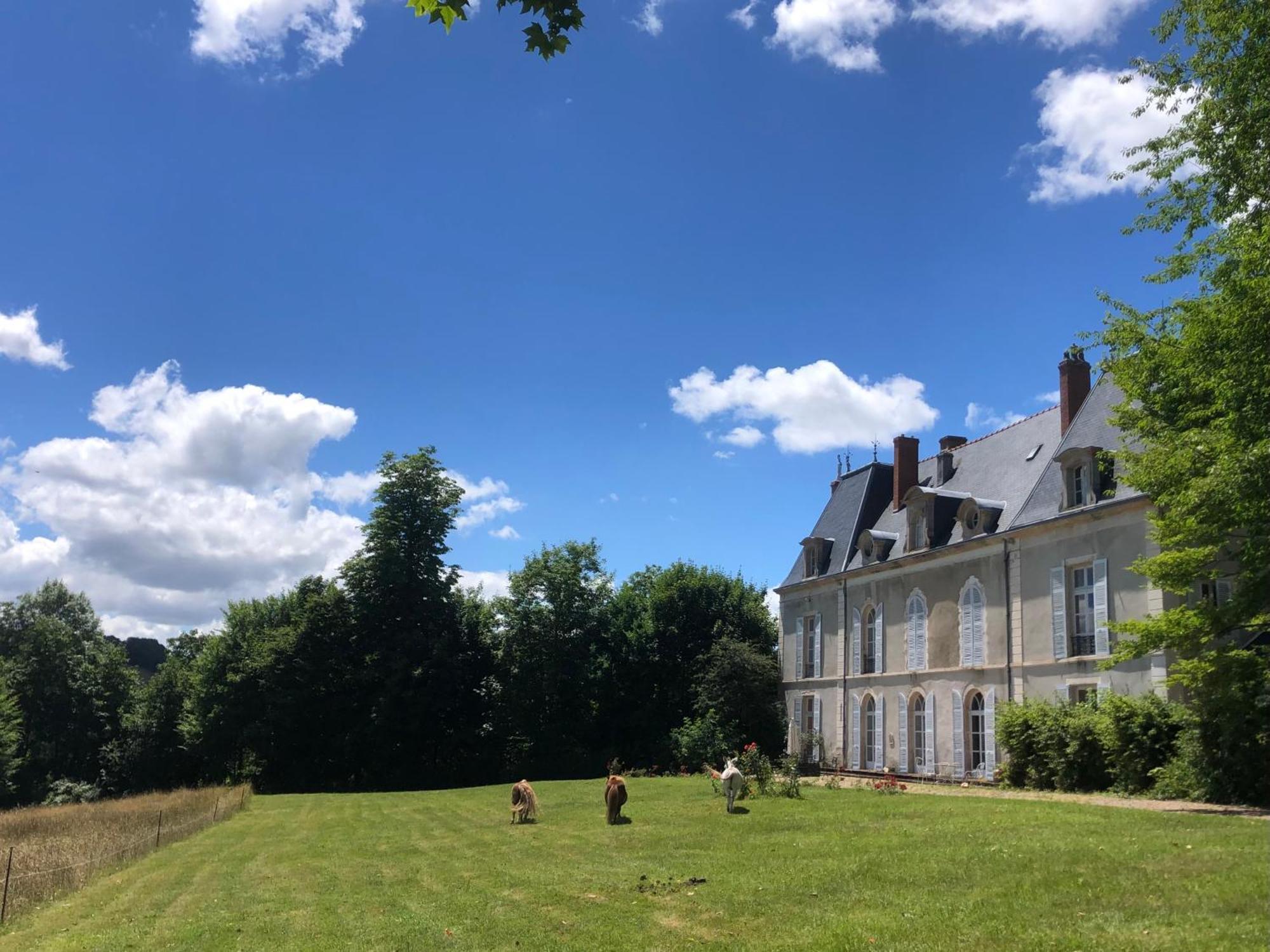 Chateau De Vaux Morvan Etang-sur-Arroux エクステリア 写真