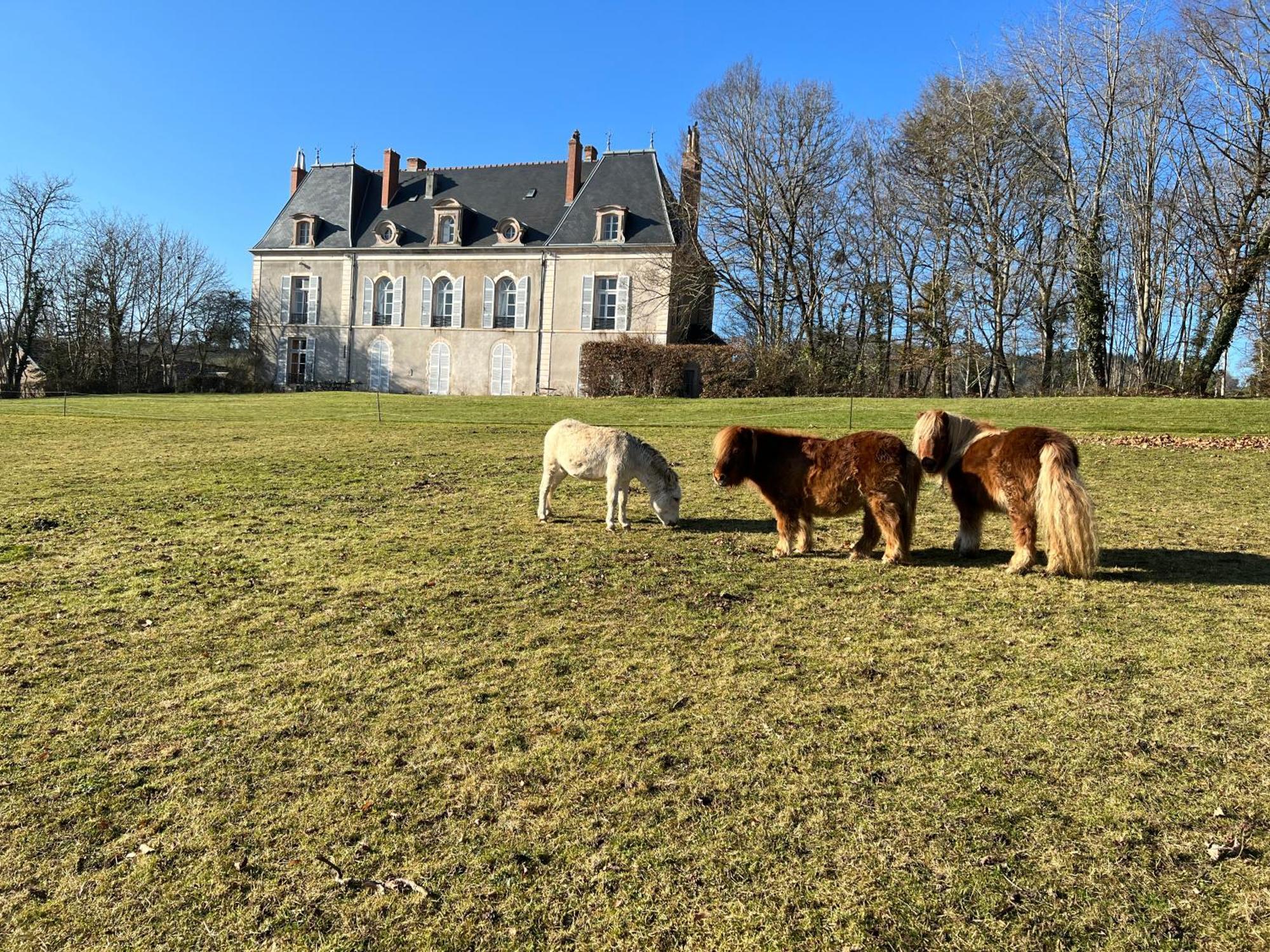 Chateau De Vaux Morvan Etang-sur-Arroux エクステリア 写真