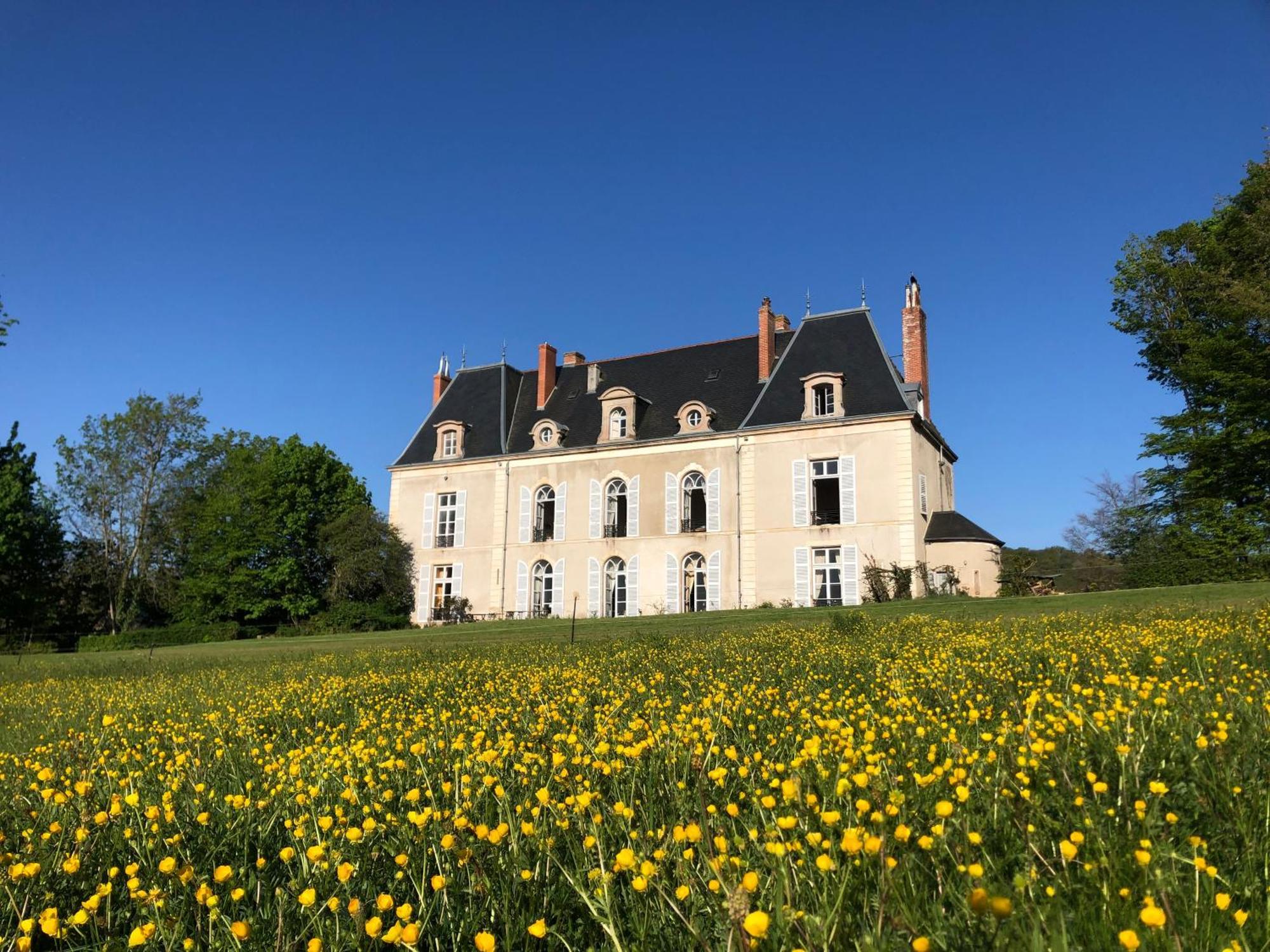 Chateau De Vaux Morvan Etang-sur-Arroux エクステリア 写真